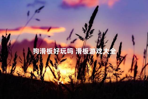 狗滑板好玩吗 滑板游戏大全